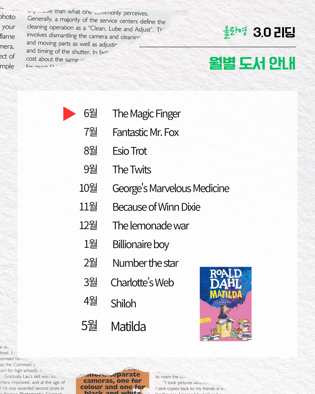로알드달 반 상세 정보 10